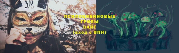 прущий лед Алзамай